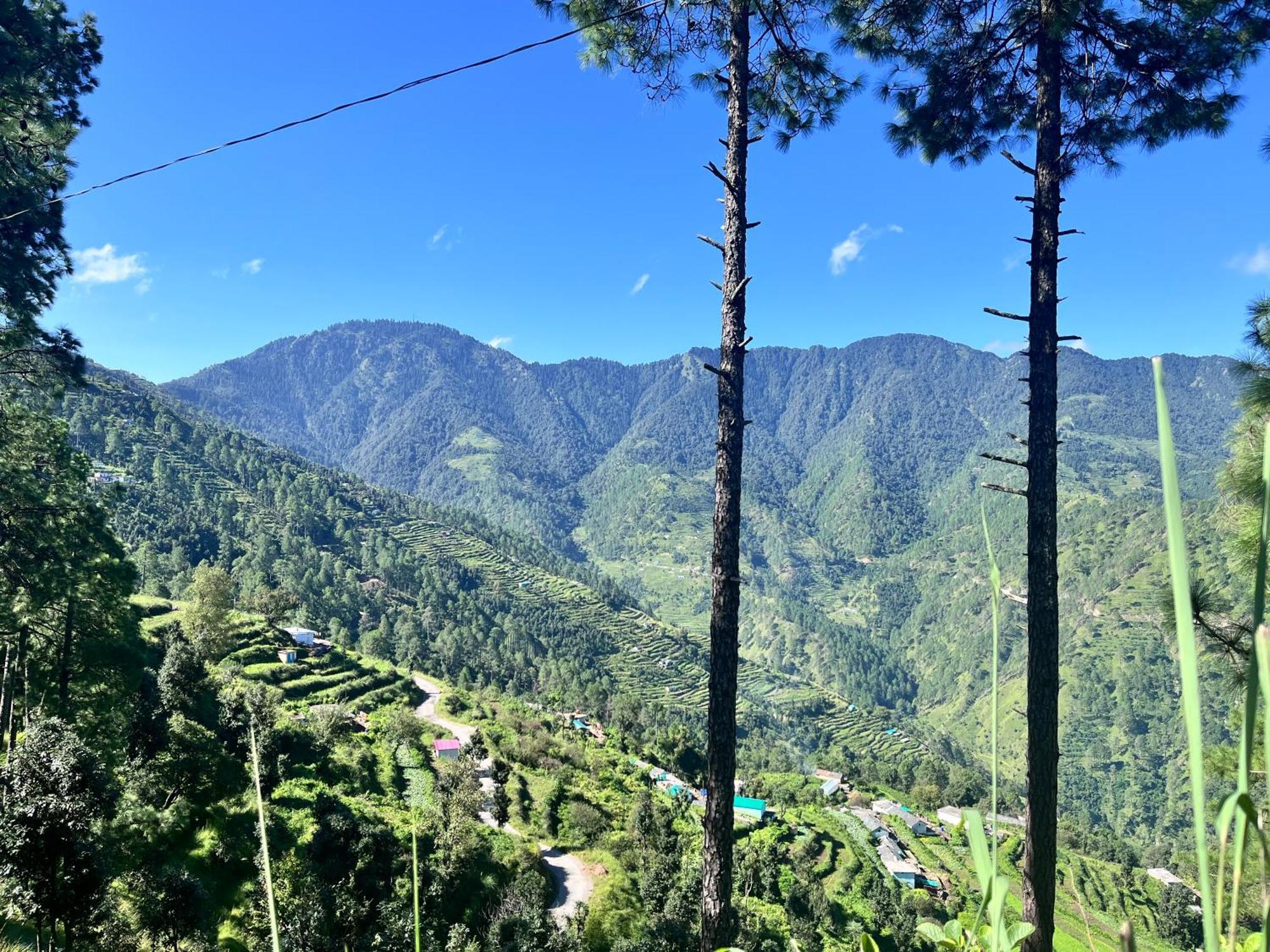 Himalayan Hill Top Resort Kanatal Luaran gambar